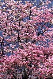 射击游戏《第一后裔》Gley预告 今日正式解锁